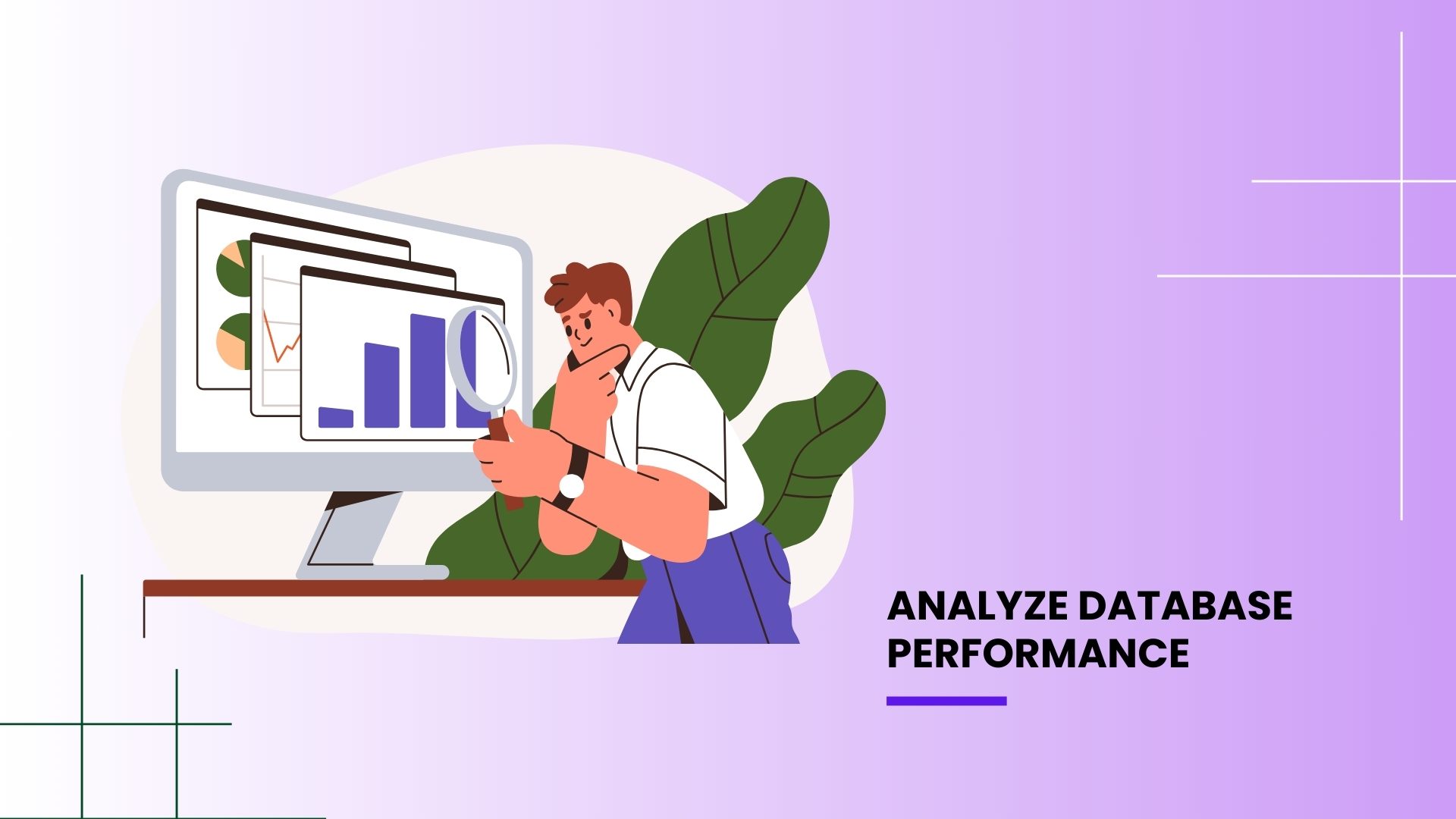 database Analyze